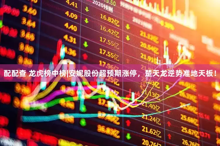 配配查 龙虎榜中榜|安妮股份超预期涨停，楚天龙逆势准地天板！
