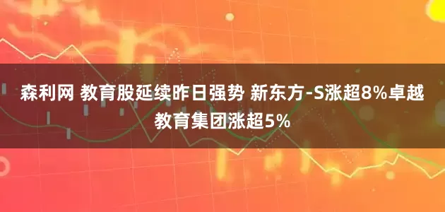 森利网 教育股延续昨日强势 新东方-S涨超8%卓越教育集团涨超5%