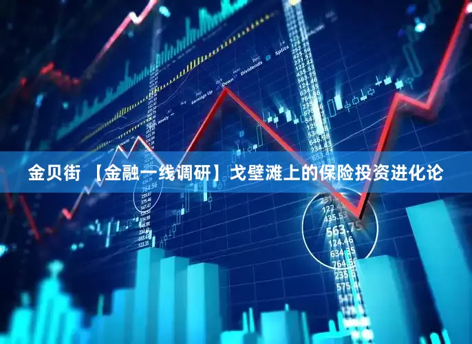 金贝街 【金融一线调研】戈壁滩上的保险投资进化论