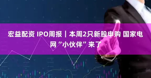 宏益配资 IPO周报｜本周2只新股申购 国家电网“小伙伴”来了