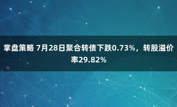 掌盘策略 7月28日聚合转债下跌0.73%，转股溢价率29.82%