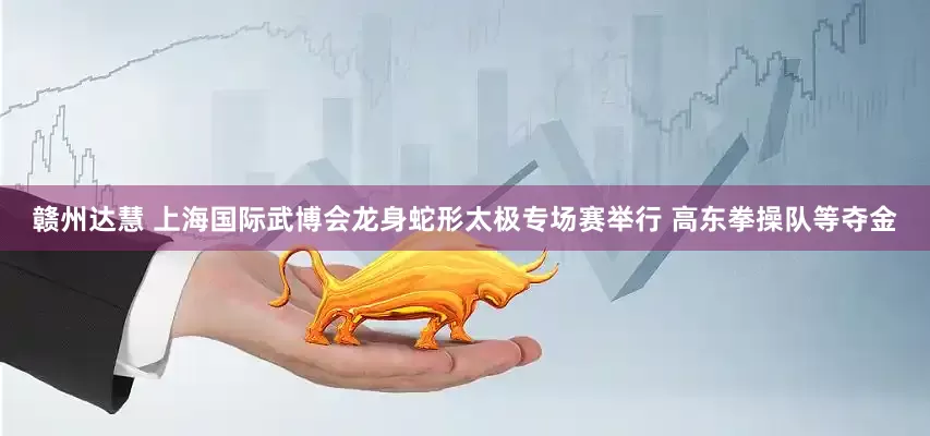 赣州达慧 上海国际武博会龙身蛇形太极专场赛举行 高东拳操队等夺金