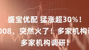 盛宝优配 猛涨超30%!301008,突然火了!多家机构调研!